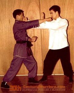 Ruch Wing Tsun Bruce'a Lee